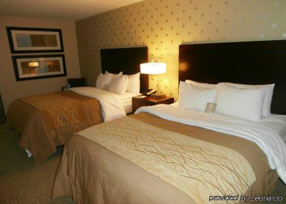 Inn Comfort Near 3*